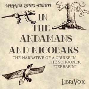 In the Andamans and Nicobars