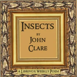 Insects