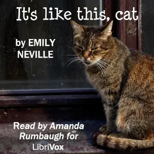 It's Like This, Cat (Version 3)