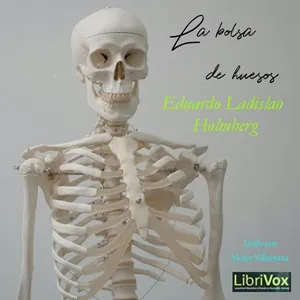 bolsa de huesos