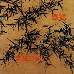 老殘遊記 (Lao Can You Ji - Mr Derelict)