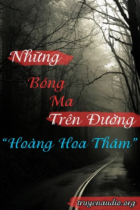 Những Bóng Ma Trên Đường Hoàng Hoa Thám - Trọn Bộ Audio