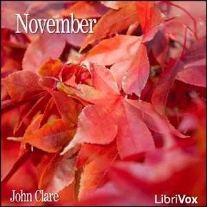 November