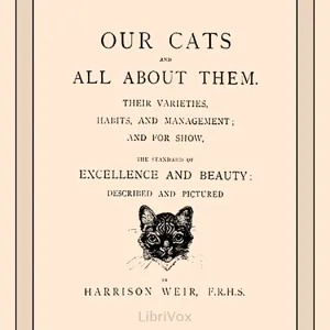 Our Cats and All About Them
