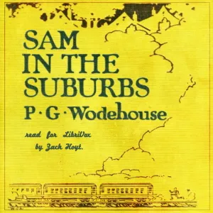 Sam In The Suburbs