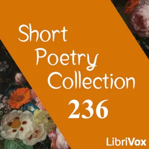 Short Poetry Collection 236