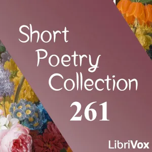 Short Poetry Collection 261