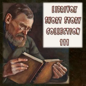 Short Story Collection 111