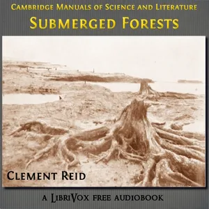 Submerged Forests