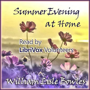 Summer Evening At Home