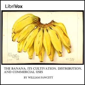 The Banana, Its Cultivation, Distribution and Commercial Uses