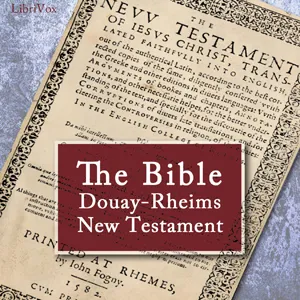 The Bible (DRV) New Testament
