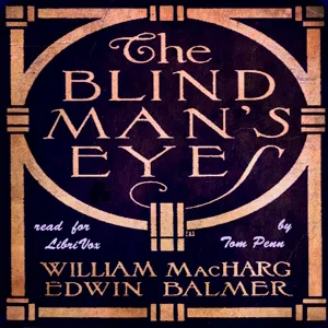 The Blind Man's Eyes