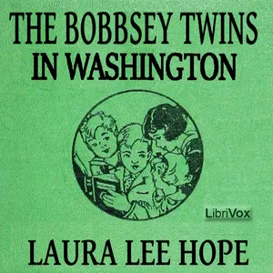 The Bobbsey Twins in Washington
