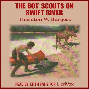The Boy Scouts on Swift River