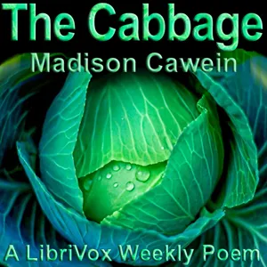 The Cabbage