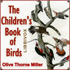 The Children's Book of Birds