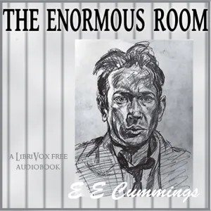 The Enormous Room