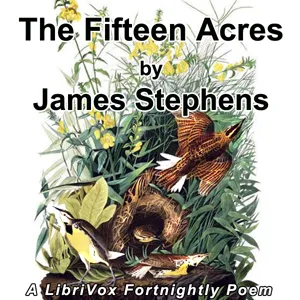 The Fifteen Acres