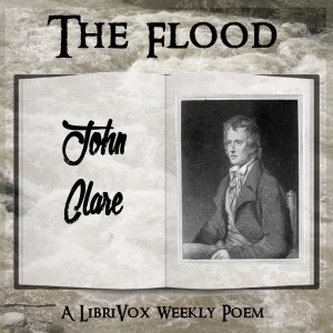 The Flood