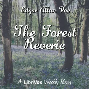 The Forest Reverie