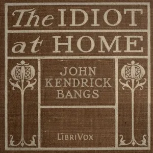 The Idiot at home