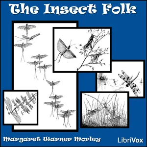 The Insect Folk
