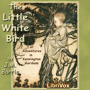 The Little White Bird