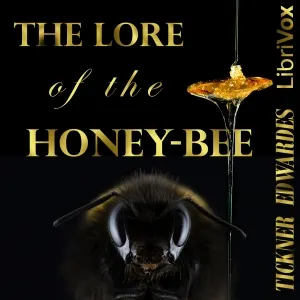 The Lore of the Honey-Bee