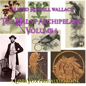 The Malay Archipelago, Volume 1