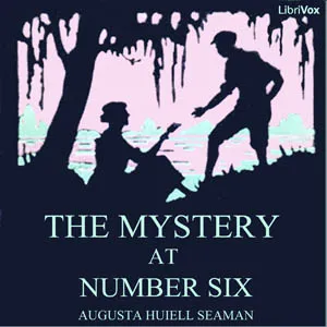 The Mystery at Number Six