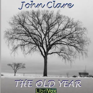 The Old Year
