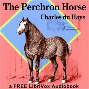 The Percheron horse