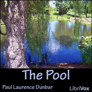 The Pool