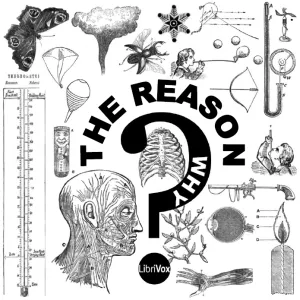 The Reason Why
