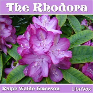 The Rhodora