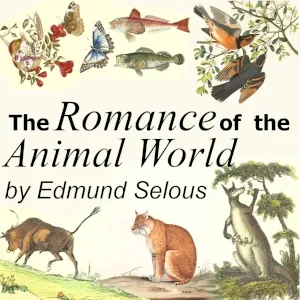 The Romance of the Animal World