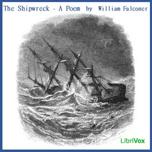 The Shipwreck