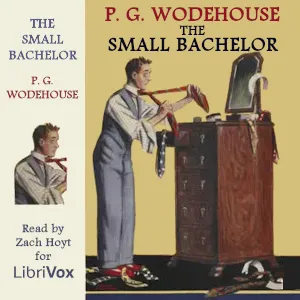 The Small Bachelor