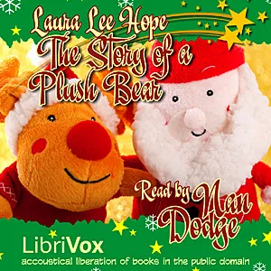 The Story of a Plush Bear