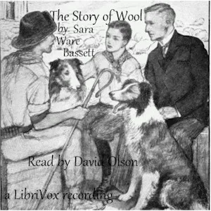 The Story of Wool