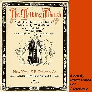 The Talking Thrush And Other Tales From India