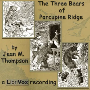 The Three Bears of Porcupine Ridge