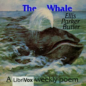 The Whale