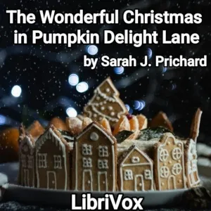 The Wonderful Christmas in Pumpkin Delight Lane
