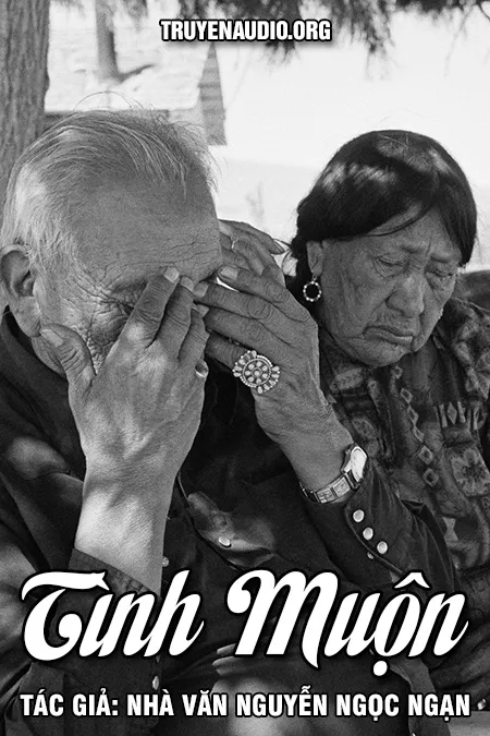 Tình Muộn - Nguyễn Ngọc Ngạn
