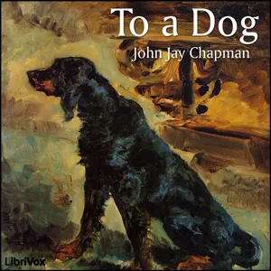 To a Dog