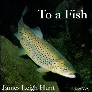 To a Fish
