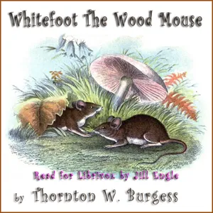Whitefoot the Wood Mouse