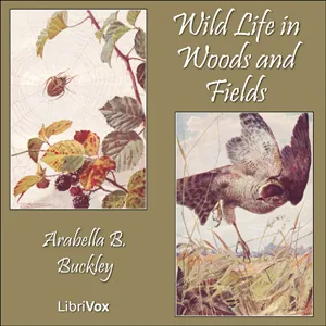 Wild Life in Woods and Fields